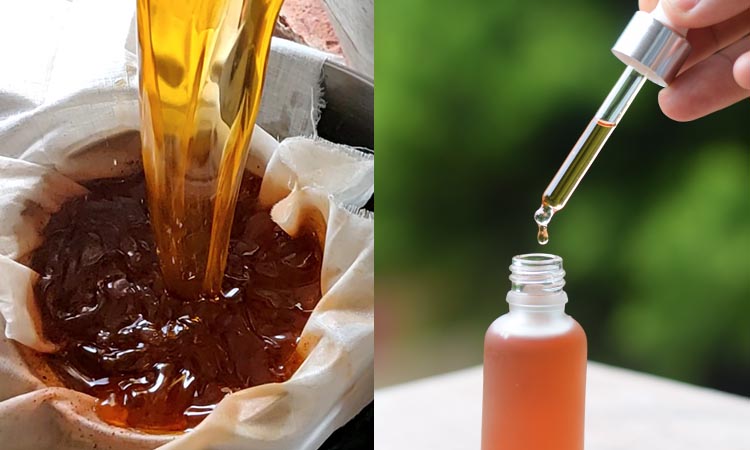 Kumkumadi Oil: The Ancient Secret to Radiant Skin You Need to Know About